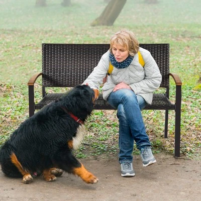 Tangkula 2 PCS Patio Furniture Set Weather-Resistant Rattan Bench Wicker Loveseat Steel Frame For Yard Garden Poolside 2 Tangkula 2 PCS Patio Furniture Set Weather-Resistant Rattan Bench Wicker Loveseat Steel Frame For Yard Garden Poolside - Image 2